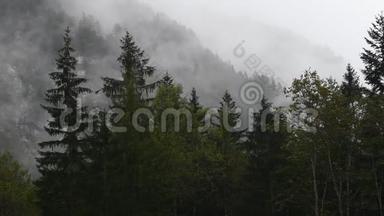 斯洛文尼亚洛加尔斯卡多利纳，低云的高山河<strong>谷</strong>雨天